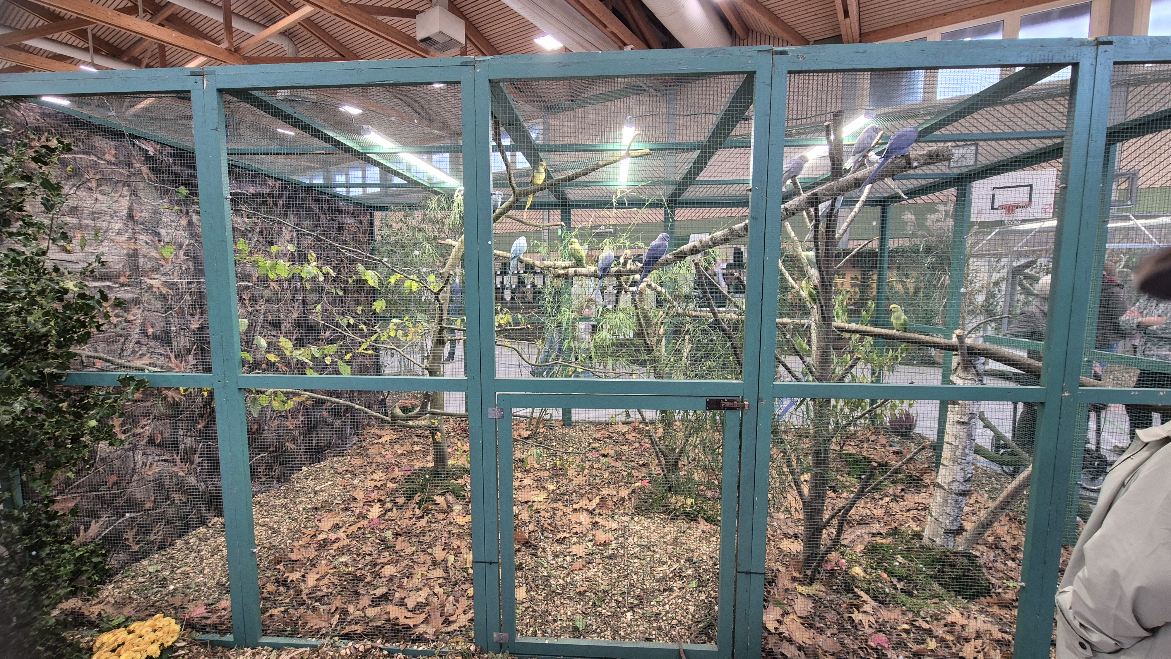 Zum Vergrößern anklicken 6ade4ef20b0c2AZ-Landes12.jpg